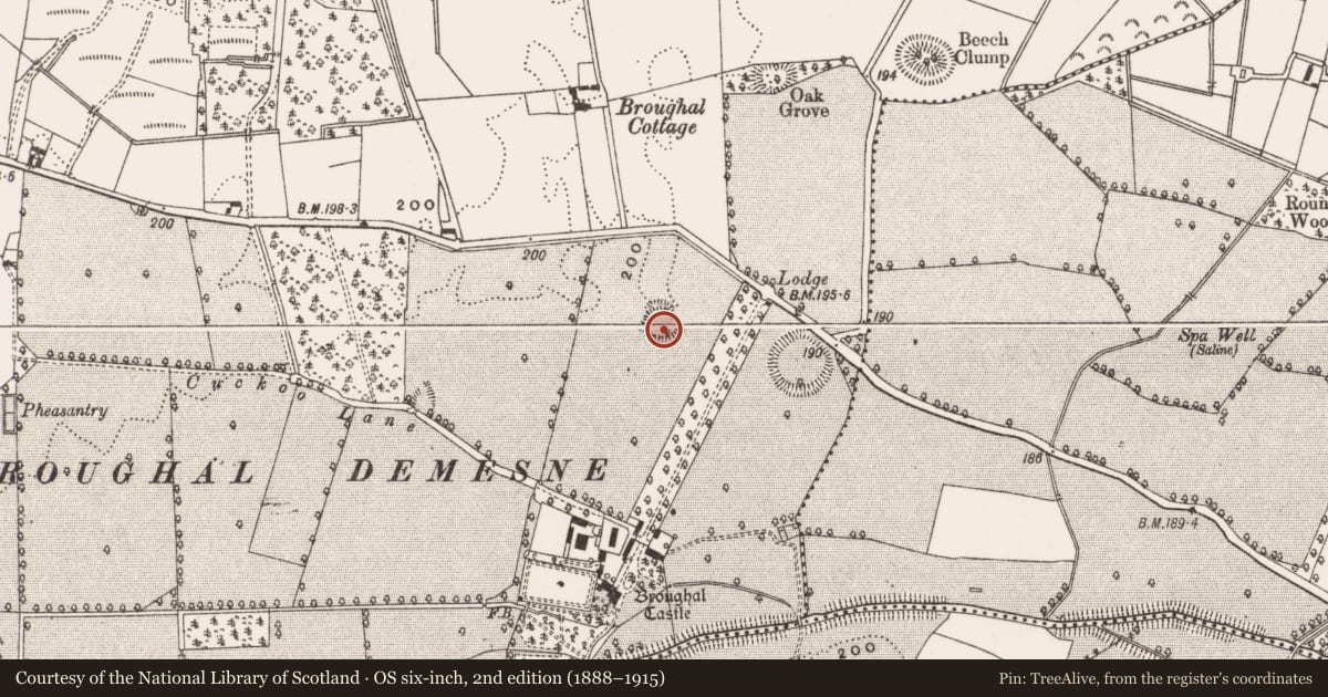 Ordnance Survey six-inch map, 2nd edition (1888–1915) covering the location of Enclosure, Broughal, County Offaly, with a pin at the register's coordinates