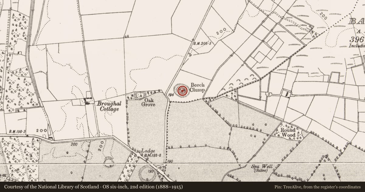 Ordnance Survey six-inch map, 2nd edition (1888–1915) covering the location of Ringfort - rath, Broughal, County Offaly, with a pin at the register's coordinates