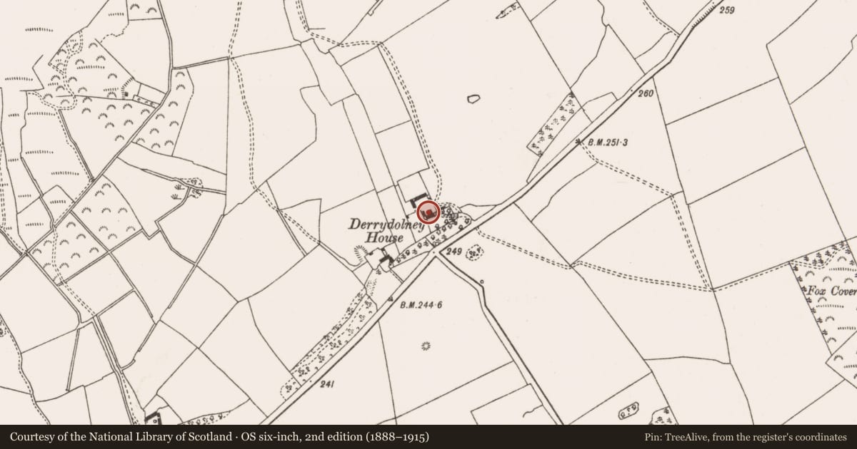 Ordnance Survey six-inch map, 2nd edition (1888–1915) covering the location of Armorial plaque, Derrydolney, County Offaly, with a pin at the register's coordinates