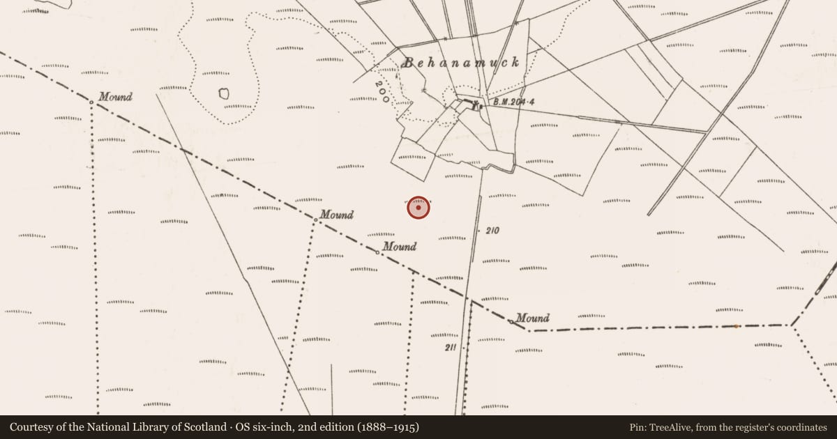 Ordnance Survey six-inch map, 2nd edition (1888–1915) covering the location of Platform - peatland, Lea Beg, County Offaly, with a pin at the register's coordinates