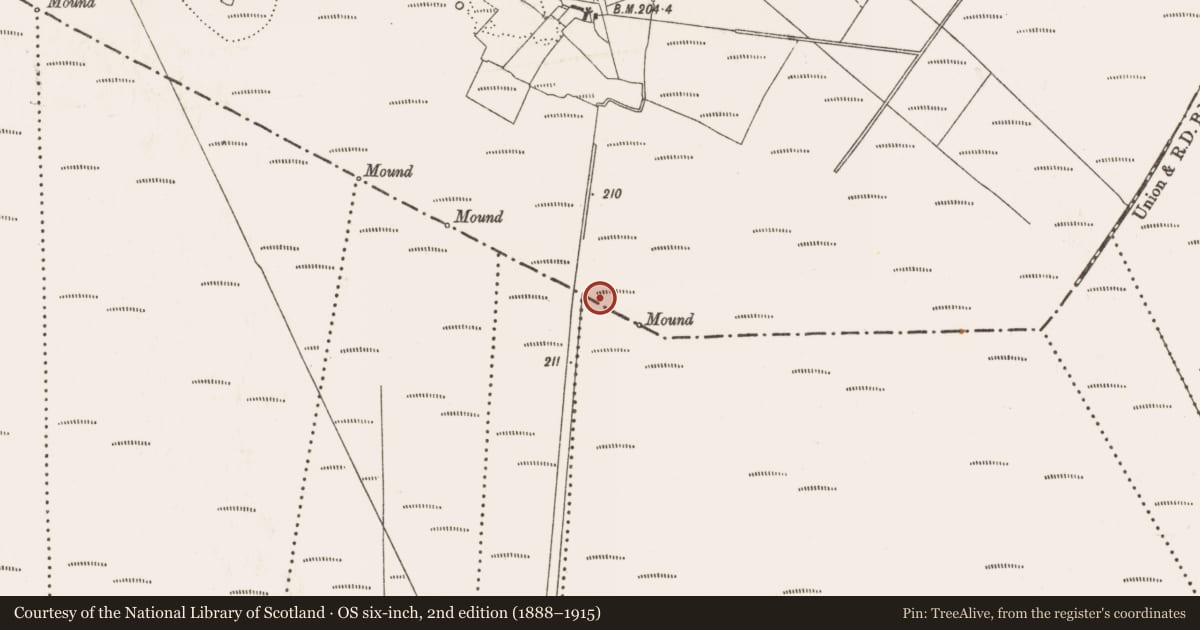Ordnance Survey six-inch map, 2nd edition (1888–1915) covering the location of Structure - peatland, Lea Beg, County Offaly, with a pin at the register's coordinates