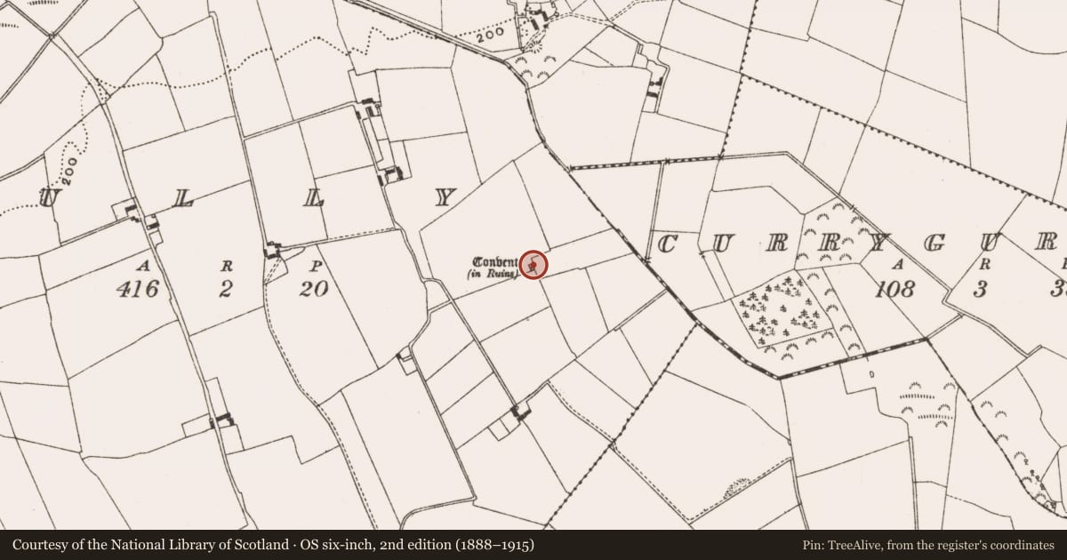 Ordnance Survey six-inch map, 2nd edition (1888–1915) covering the location of Religious house - Franciscan friars, Cully, County Offaly, with a pin at the register's coordinates