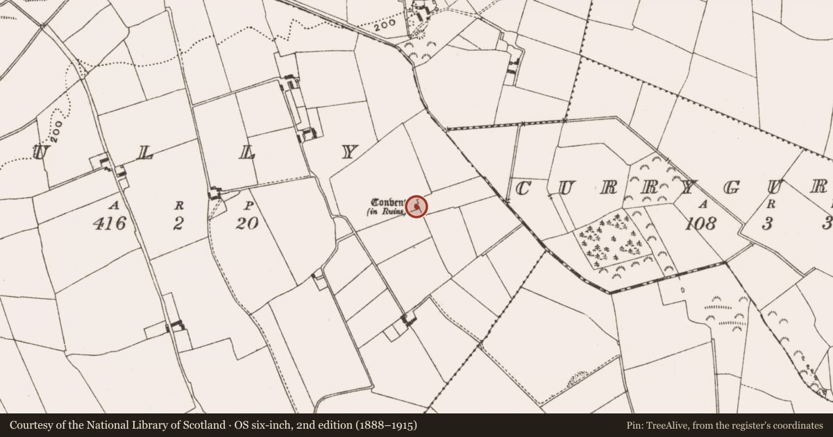 Ordnance Survey six-inch map, 2nd edition (1888–1915) covering the location of Inscribed stone, Cully, County Offaly, with a pin at the register's coordinates