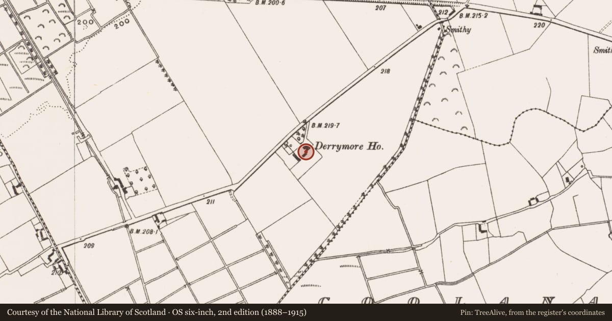 Ordnance Survey six-inch map, 2nd edition (1888–1915) covering the location of Inscribed stone (present location), Derrymore, County Offaly, with a pin at the register's coordinates