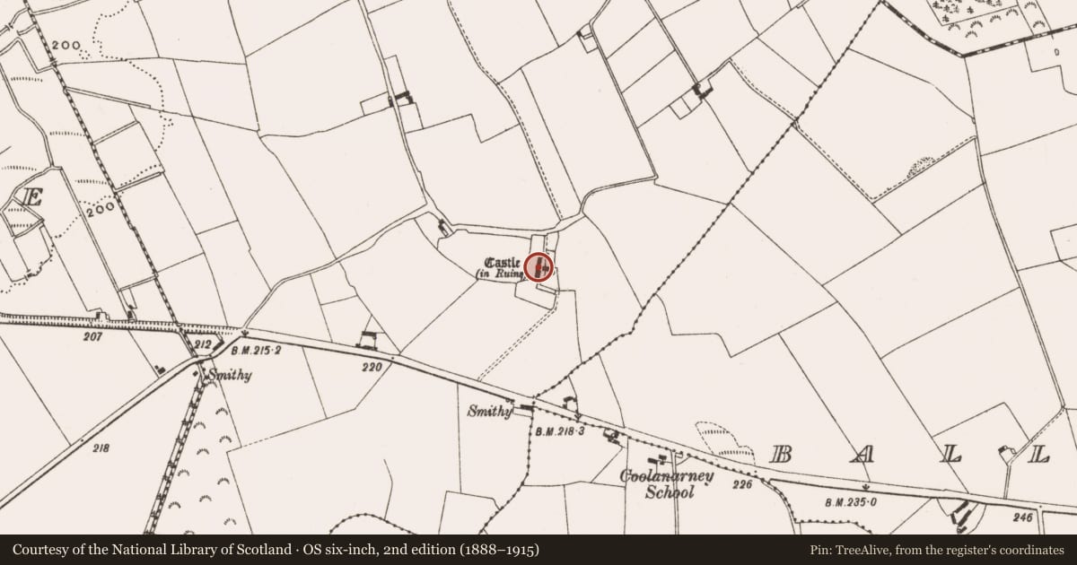Ordnance Survey six-inch map, 2nd edition (1888–1915) covering the location of Castle - unclassified, Cully, County Offaly, with a pin at the register's coordinates