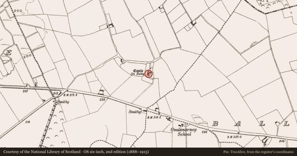 Ordnance Survey six-inch map, 2nd edition (1888–1915) covering the location of Armorial plaque, Cully, County Offaly, with a pin at the register's coordinates