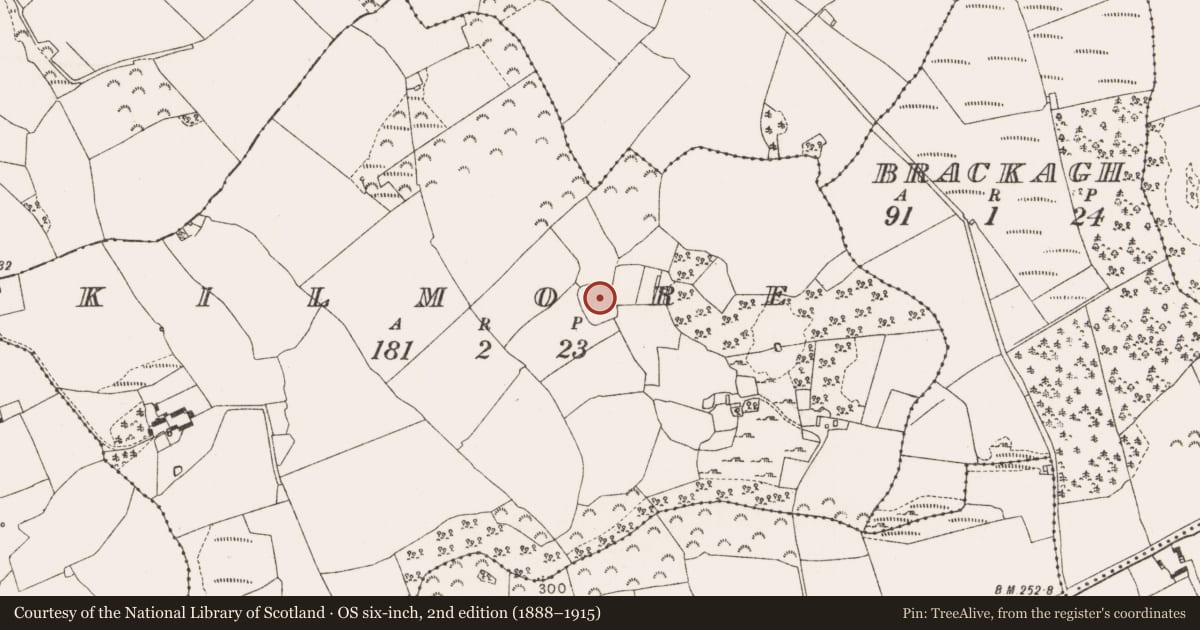 Ordnance Survey six-inch map, 2nd edition (1888–1915) covering the location of Enclosure, Kilmore, County Offaly, with a pin at the register's coordinates
