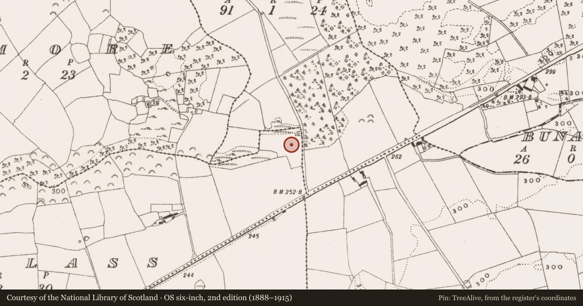 Ordnance Survey six-inch map, 2nd edition (1888–1915) covering the location of Enclosure, Lugglass, County Offaly, with a pin at the register's coordinates