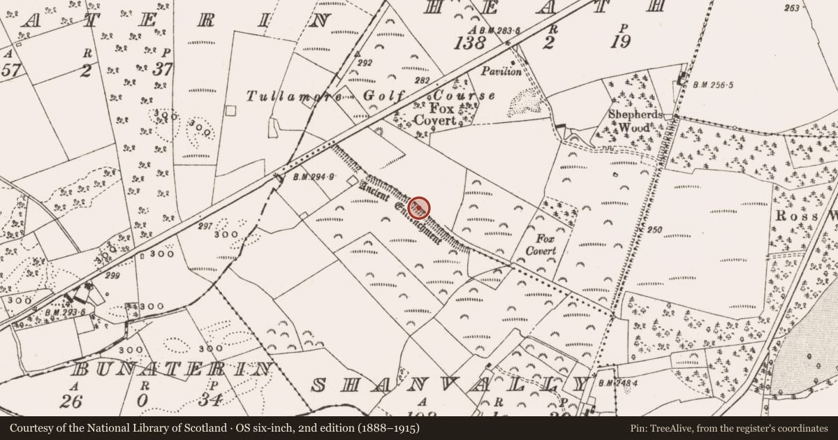 Ordnance Survey six-inch map, 2nd edition (1888–1915) covering the location of Linear earthwork, Shanvally, County Offaly, with a pin at the register's coordinates