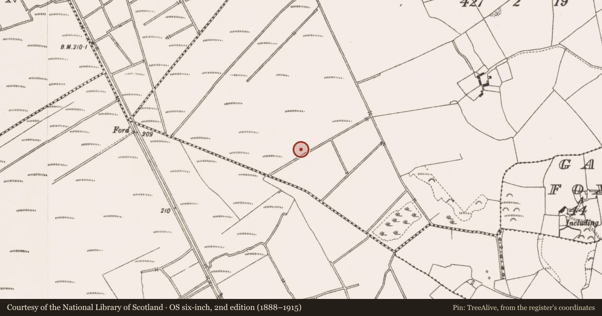 Ordnance Survey six-inch map, 2nd edition (1888–1915) covering the location of Enclosure, County Offaly, with a pin at the register's coordinates