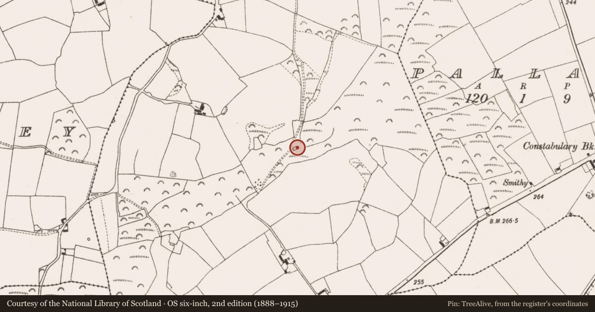 Ordnance Survey six-inch map, 2nd edition (1888–1915) covering the location of Church, Ballyfarrell, County Offaly, with a pin at the register's coordinates