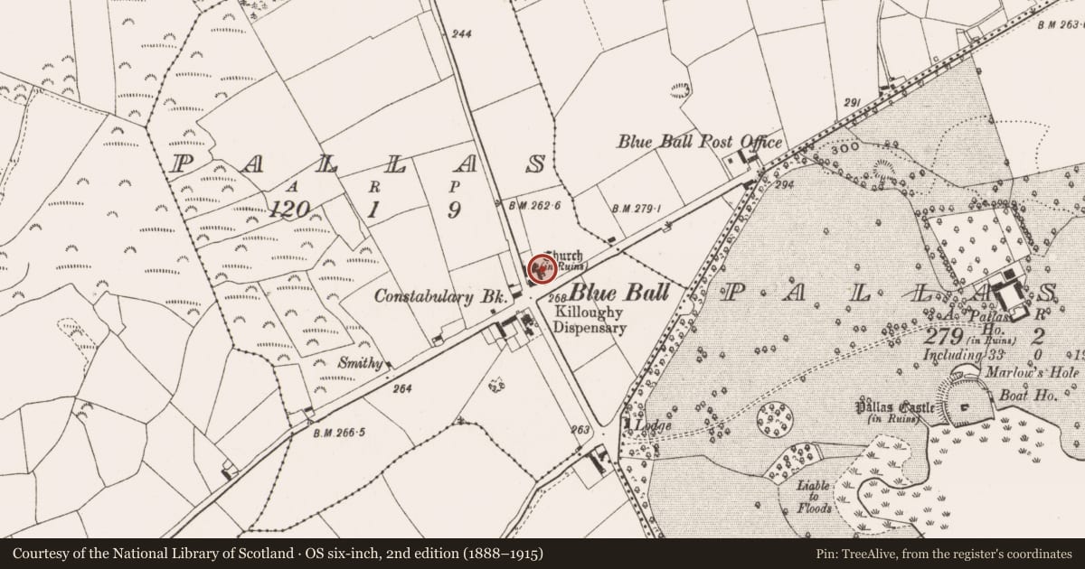 Ordnance Survey six-inch map, 2nd edition (1888–1915) covering the location of Church, Pallas, County Offaly, with a pin at the register's coordinates
