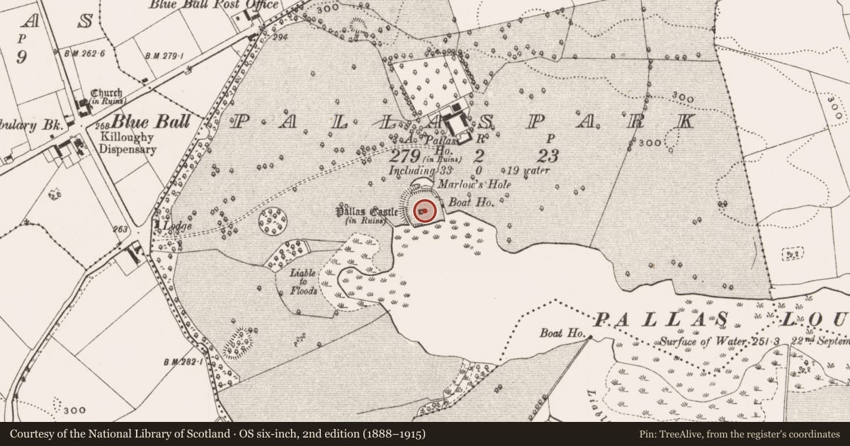 Ordnance Survey six-inch map, 2nd edition (1888–1915) covering the location of Castle - tower house, Pallaspark, County Offaly, with a pin at the register's coordinates