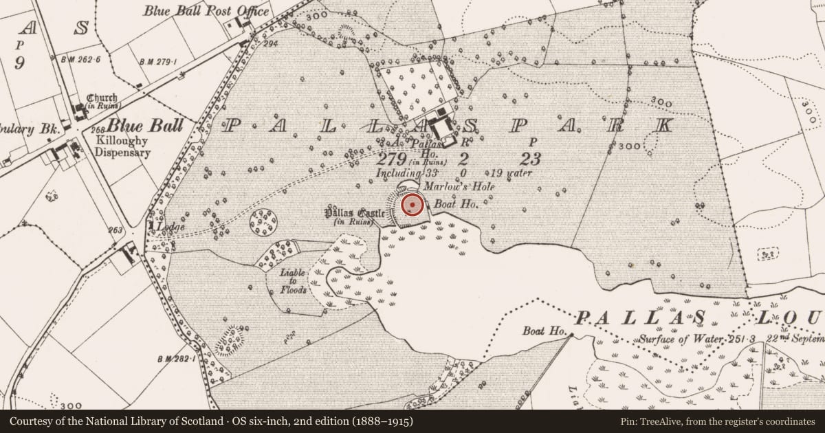Ordnance Survey six-inch map, 2nd edition (1888–1915) covering the location of Bawn, Pallaspark, County Offaly, with a pin at the register's coordinates