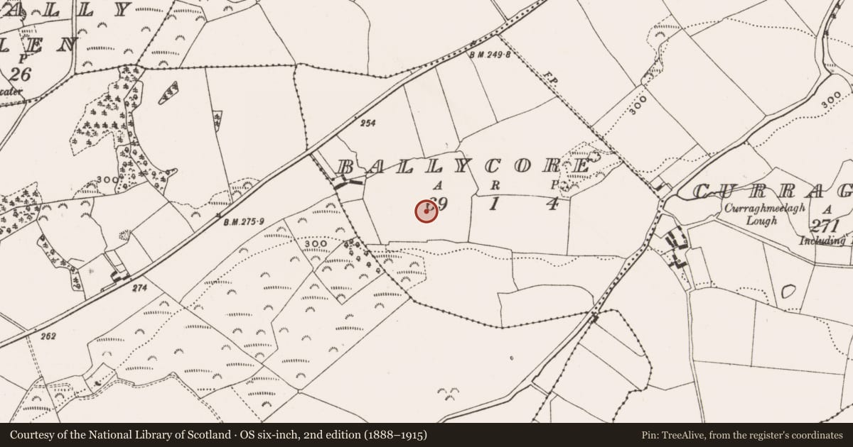 Ordnance Survey six-inch map, 2nd edition (1888–1915) covering the location of Enclosure, Ballycore, County Offaly, with a pin at the register's coordinates