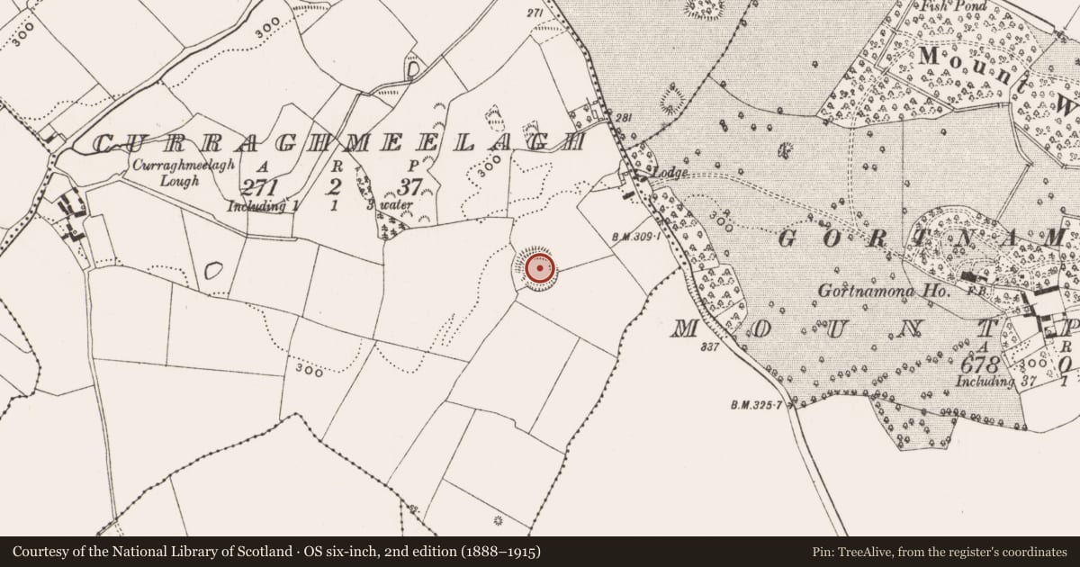Ordnance Survey six-inch map, 2nd edition (1888–1915) covering the location of Enclosure, Curraghmeelagh, County Offaly, with a pin at the register's coordinates