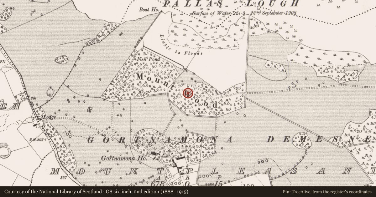 Ordnance Survey six-inch map, 2nd edition (1888–1915) covering the location of House - fortified house, Mountpleasant, County Offaly, with a pin at the register's coordinates