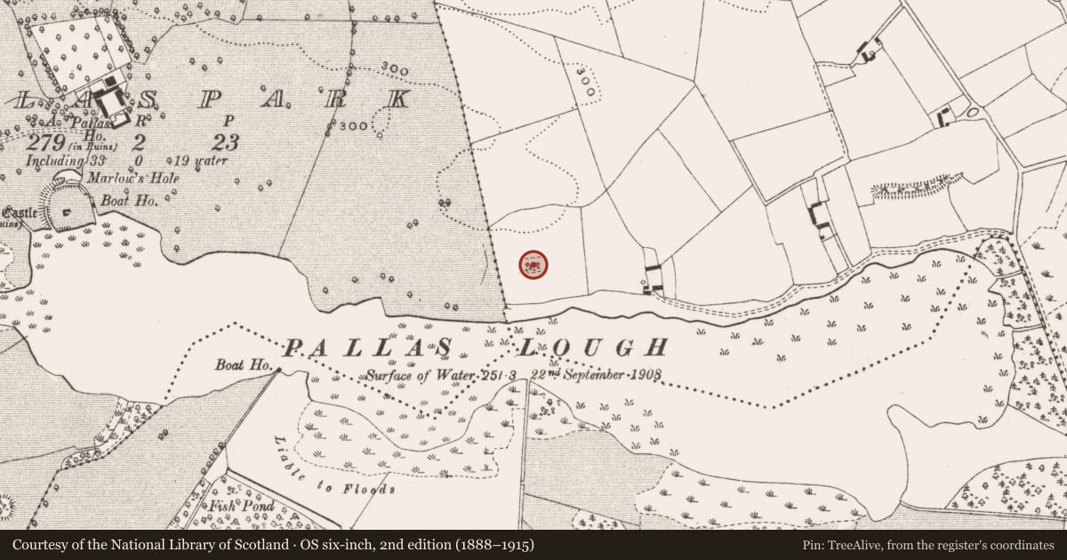 Ordnance Survey six-inch map, 2nd edition (1888–1915) covering the location of Burial ground, Hollimshill, County Offaly, with a pin at the register's coordinates