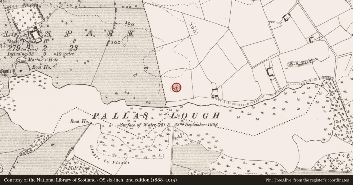 Ordnance Survey six-inch map, 2nd edition (1888–1915) covering the location of Enclosure, Hollimshill, County Offaly, with a pin at the register's coordinates