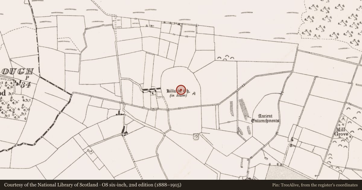 Ordnance Survey six-inch map, 2nd edition (1888–1915) covering the location of Ritual site - holy tree/bush, Killurin, County Offaly, with a pin at the register's coordinates