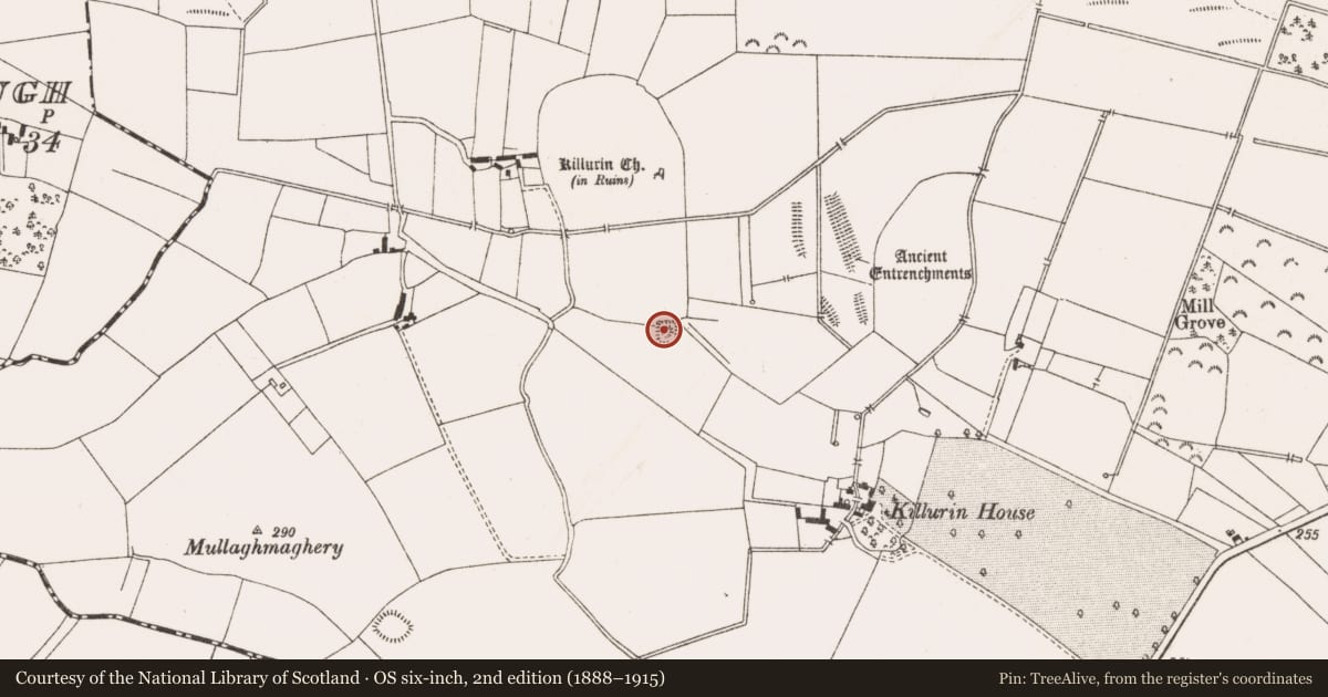 Ordnance Survey six-inch map, 2nd edition (1888–1915) covering the location of Enclosure, Killurin, County Offaly, with a pin at the register's coordinates