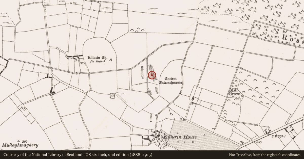 Ordnance Survey six-inch map, 2nd edition (1888–1915) covering the location of Linear earthwork, Killurin, County Offaly, with a pin at the register's coordinates