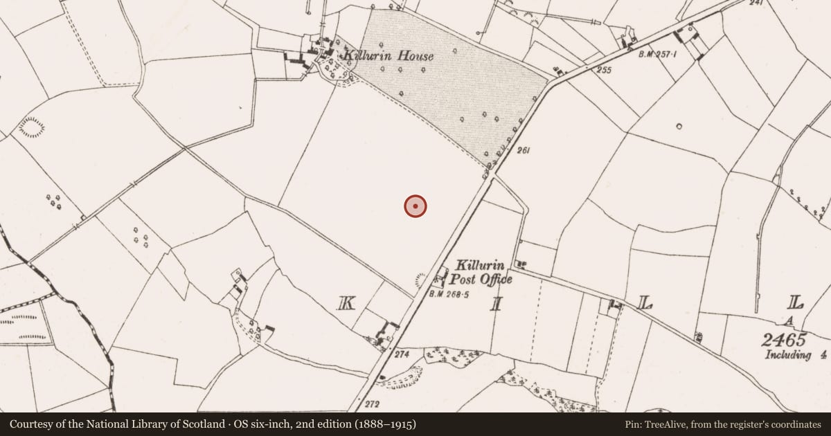 Ordnance Survey six-inch map, 2nd edition (1888–1915) covering the location of Designed landscape - tree-ring, Killurin, County Offaly, with a pin at the register's coordinates