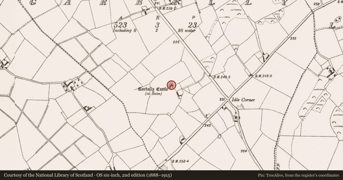 Ordnance Survey six-inch map, 2nd edition (1888–1915) covering the location of Mound, Garbally, County Offaly, with a pin at the register's coordinates