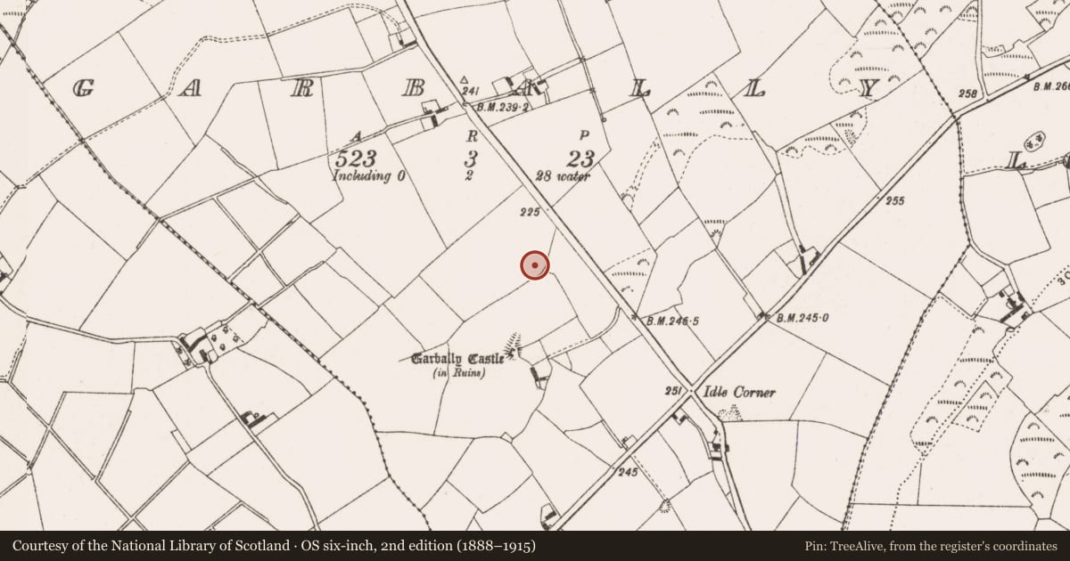 Ordnance Survey six-inch map, 2nd edition (1888–1915) covering the location of Enclosure, Garbally, County Offaly, with a pin at the register's coordinates