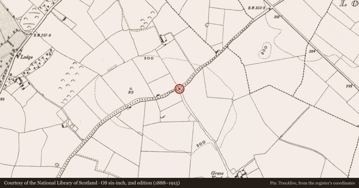 Ordnance Survey six-inch map, 2nd edition (1888–1915) covering the location of Cairn - wayside cairn, Killooly, Rathlihen, County Offaly, with a pin at the register's coordinates