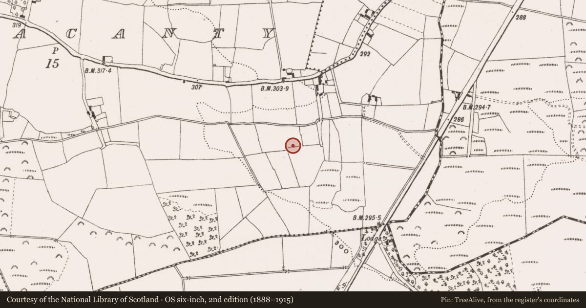 Ordnance Survey six-inch map, 2nd edition (1888–1915) covering the location of Enclosure, Ballynacanty, County Offaly, with a pin at the register's coordinates