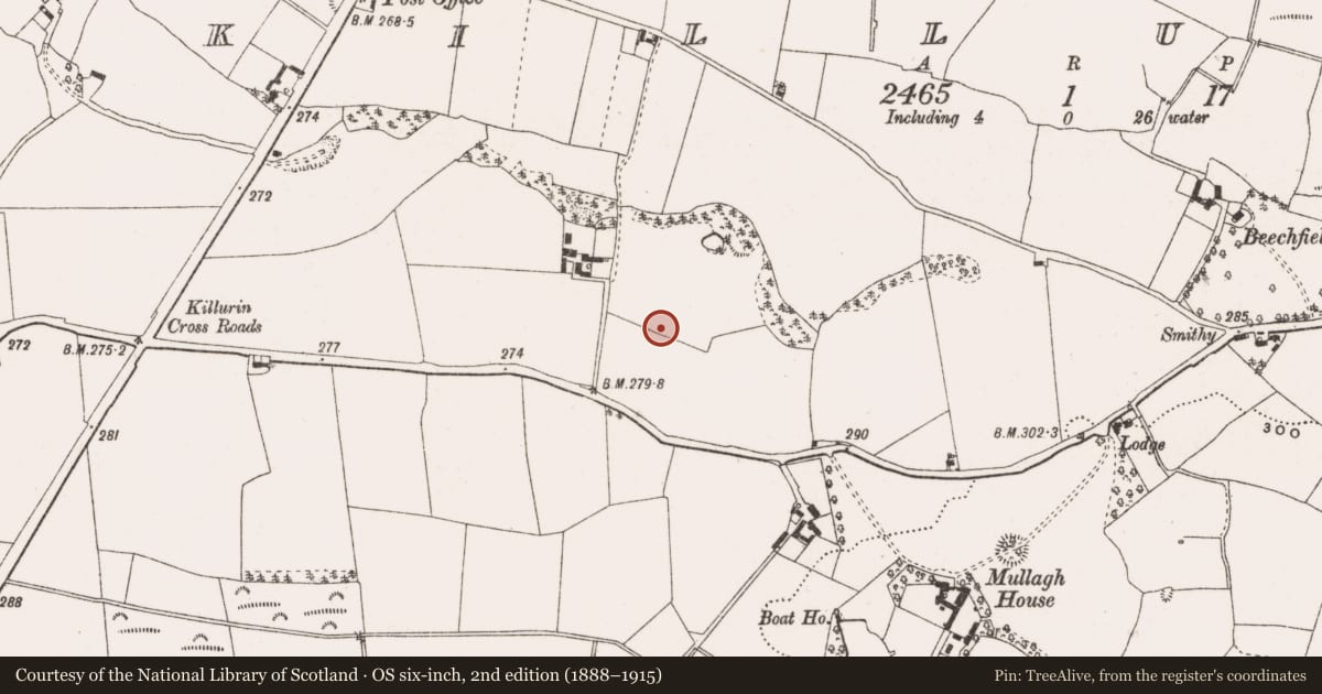 Ordnance Survey six-inch map, 2nd edition (1888–1915) covering the location of Enclosure, Killurin, County Offaly, with a pin at the register's coordinates