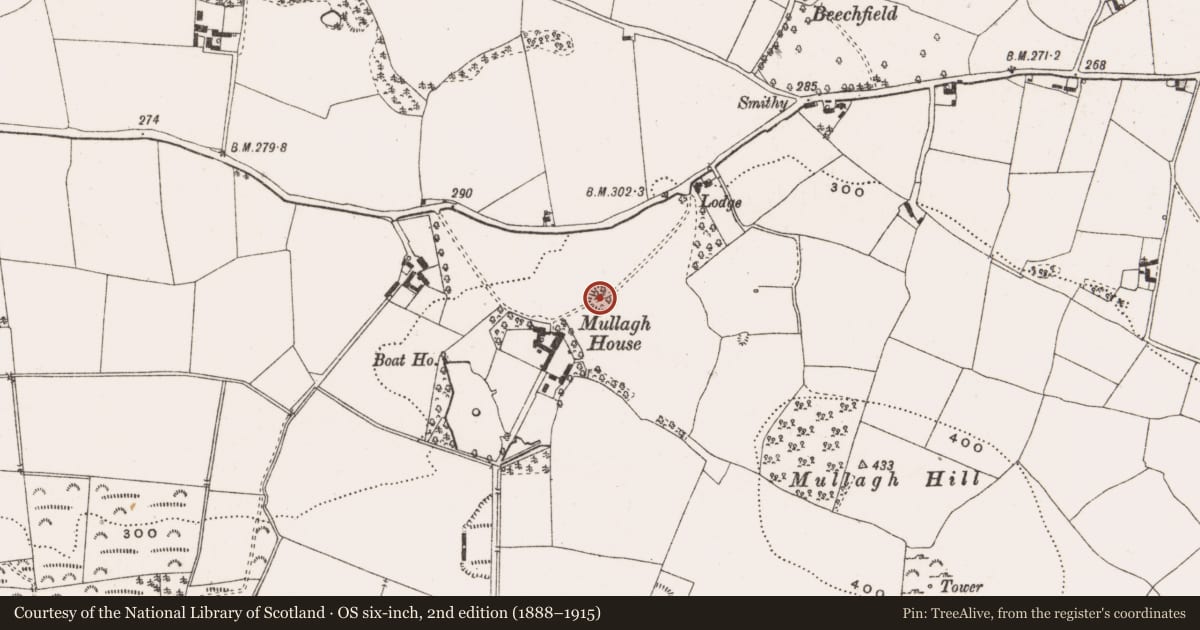 Ordnance Survey six-inch map, 2nd edition (1888–1915) covering the location of Designed landscape - ornamental lake, Killurin, County Offaly, with a pin at the register's coordinates