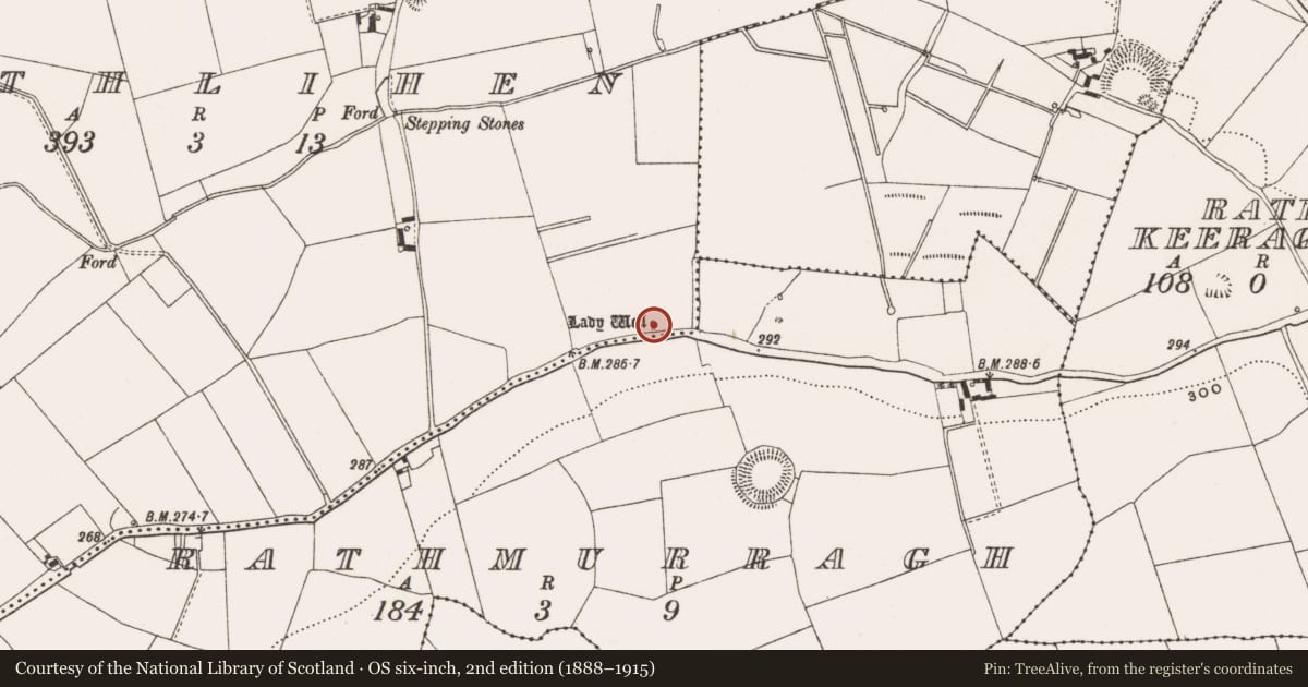 Ordnance Survey six-inch map, 2nd edition (1888–1915) covering the location of Standing stone, Rathlihen, County Offaly, with a pin at the register's coordinates