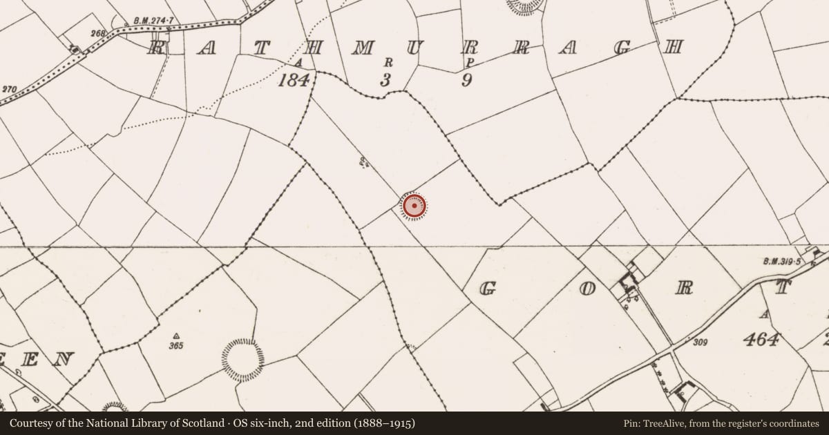 Ordnance Survey six-inch map, 2nd edition (1888–1915) covering the location of Ringfort - rath, Gortacur, County Offaly, with a pin at the register's coordinates