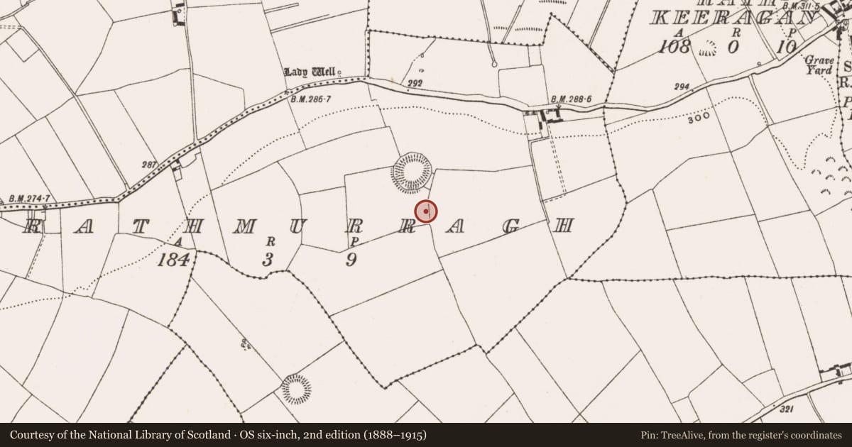 Ordnance Survey six-inch map, 2nd edition (1888–1915) covering the location of Enclosure, Rathmurragh, County Offaly, with a pin at the register's coordinates
