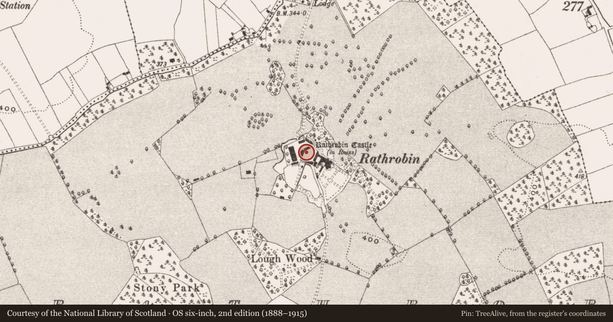 Ordnance Survey six-inch map, 2nd edition (1888–1915) covering the location of Castle - unclassified, Rathrobin, County Offaly, with a pin at the register's coordinates