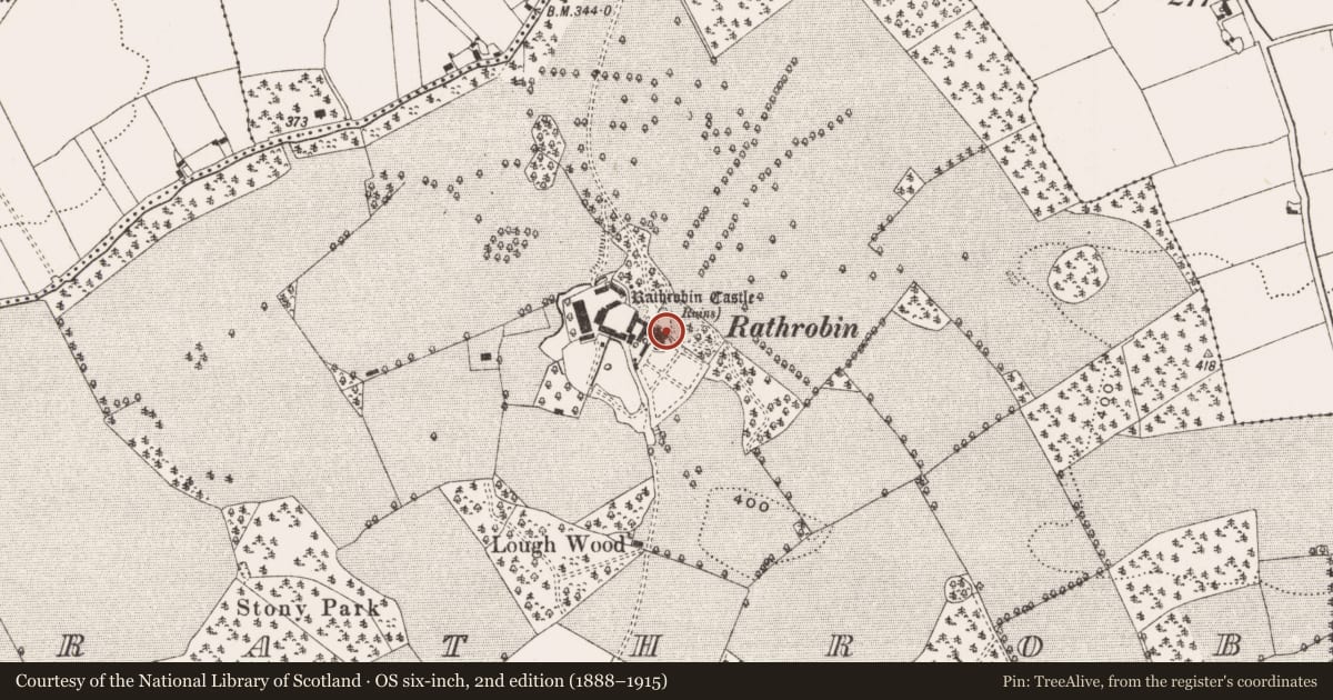 Ordnance Survey six-inch map, 2nd edition (1888–1915) covering the location of Inscribed stone, Rathrobin, County Offaly, with a pin at the register's coordinates