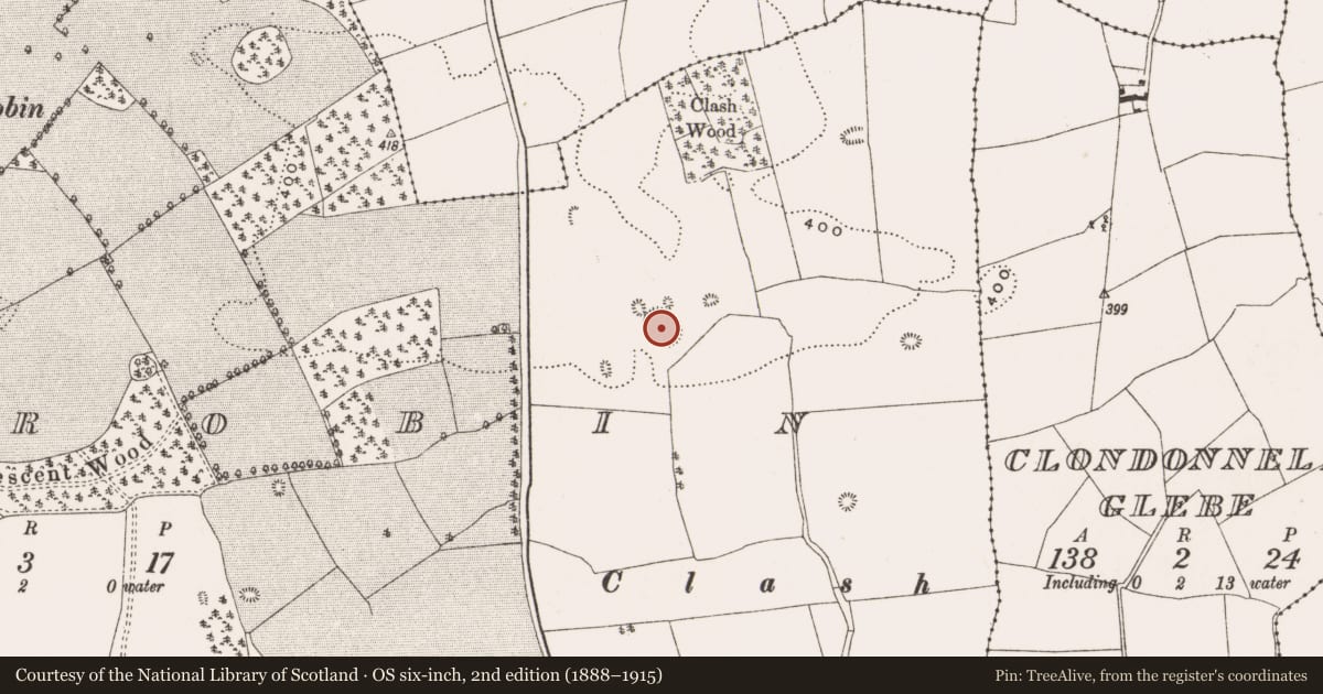 Ordnance Survey six-inch map, 2nd edition (1888–1915) covering the location of Enclosure, Rathrobin, County Offaly, with a pin at the register's coordinates