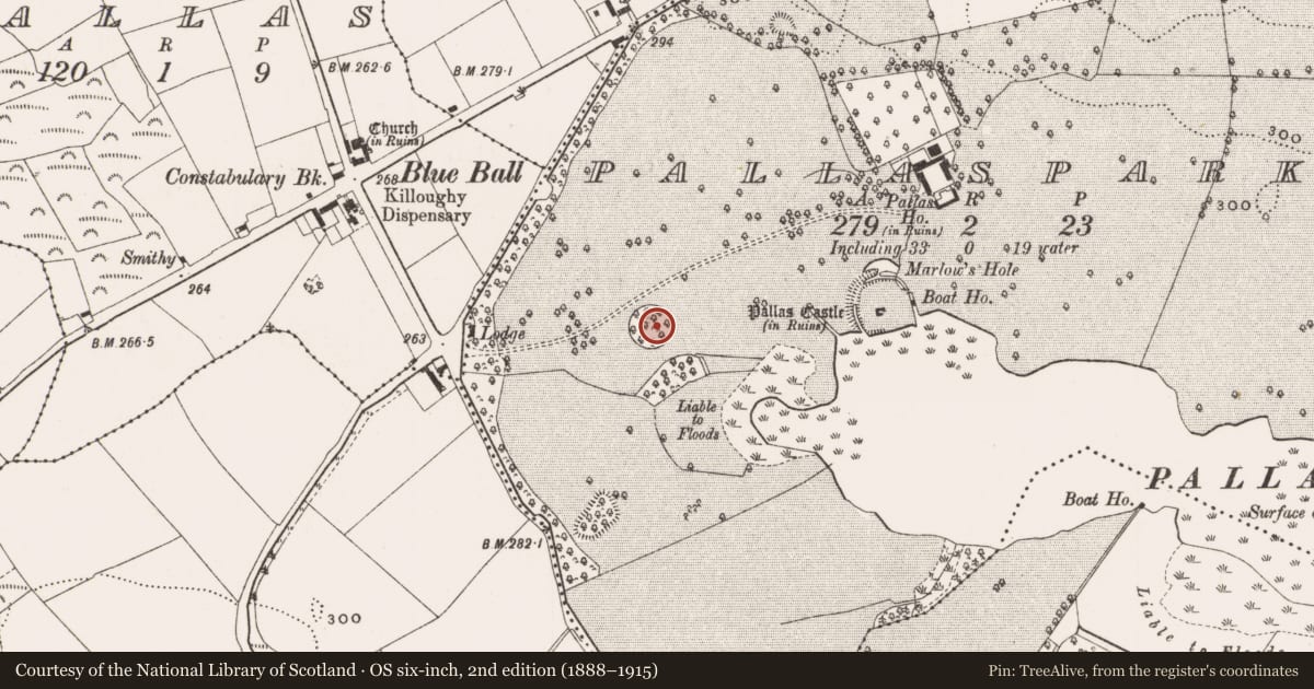 Ordnance Survey six-inch map, 2nd edition (1888–1915) covering the location of Designed landscape - tree-ring, Pallaspark, County Offaly, with a pin at the register's coordinates