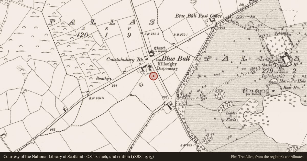 Ordnance Survey six-inch map, 2nd edition (1888–1915) covering the location of Graveyard, Pallas, County Offaly, with a pin at the register's coordinates