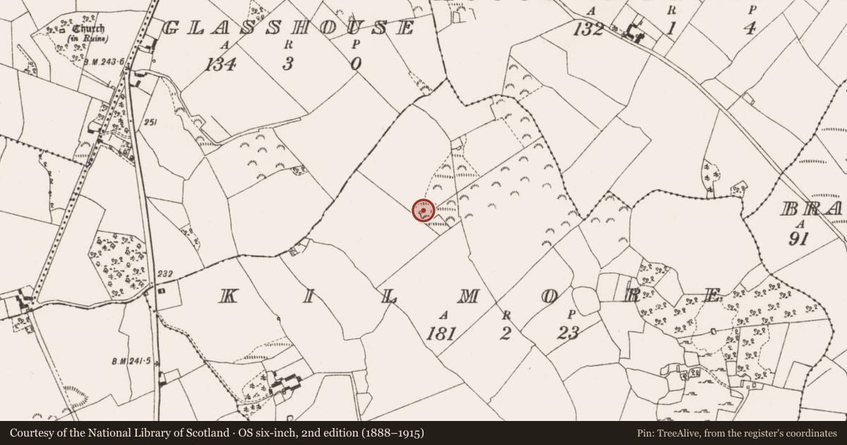 Ordnance Survey six-inch map, 2nd edition (1888–1915) covering the location of Kiln - lime, Kilmore, County Offaly, with a pin at the register's coordinates