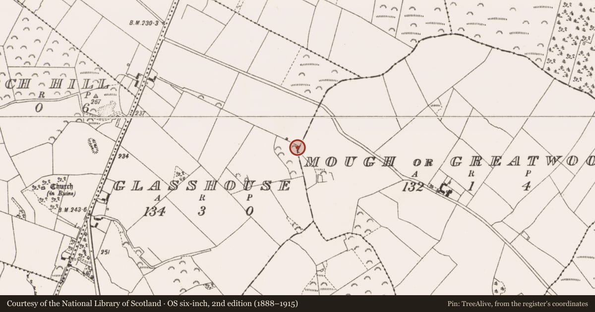 Ordnance Survey six-inch map, 2nd edition (1888–1915) covering the location of Glass works, Glasshouse, County Offaly, with a pin at the register's coordinates