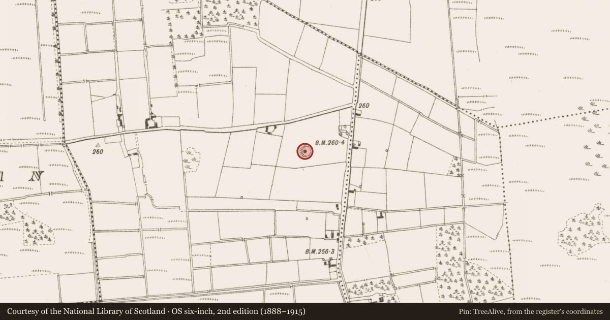 Ordnance Survey six-inch map, 2nd edition (1888–1915) covering the location of Mound, Derrybeg, County Offaly, with a pin at the register's coordinates