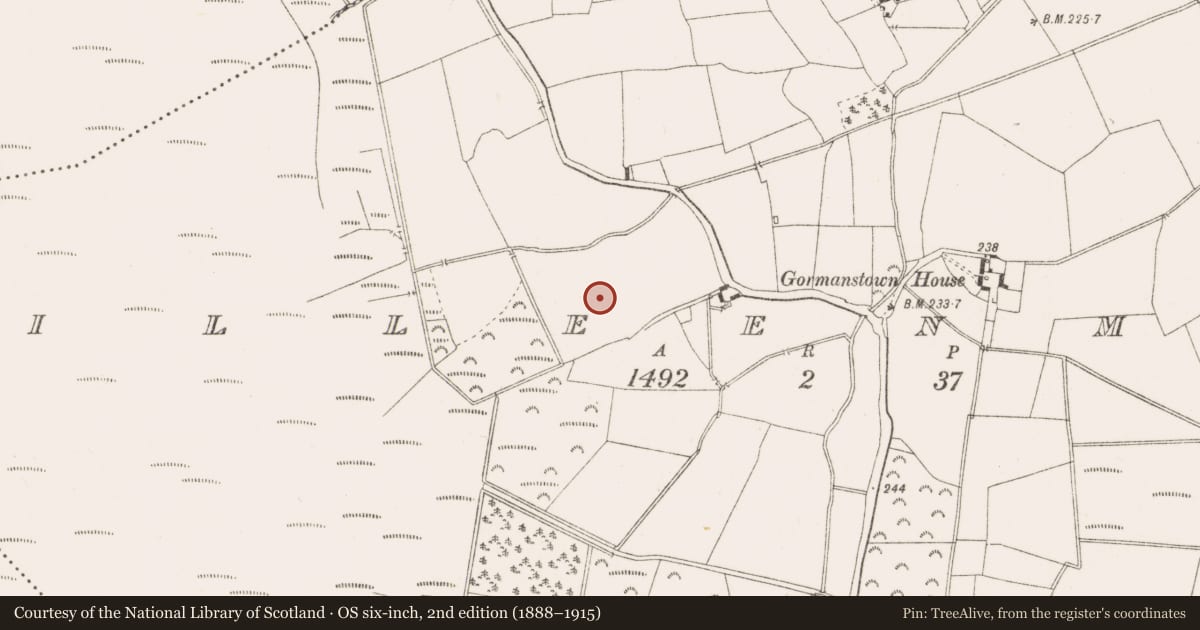 Ordnance Survey six-inch map, 2nd edition (1888–1915) covering the location of Enclosure, Killeenmore, County Offaly, with a pin at the register's coordinates