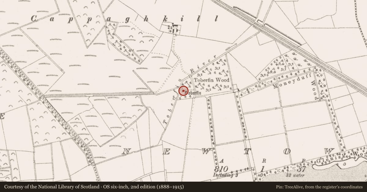 Ordnance Survey six-inch map, 2nd edition (1888–1915) covering the location of Ritual site - holy well, Newtown, County Offaly, with a pin at the register's coordinates
