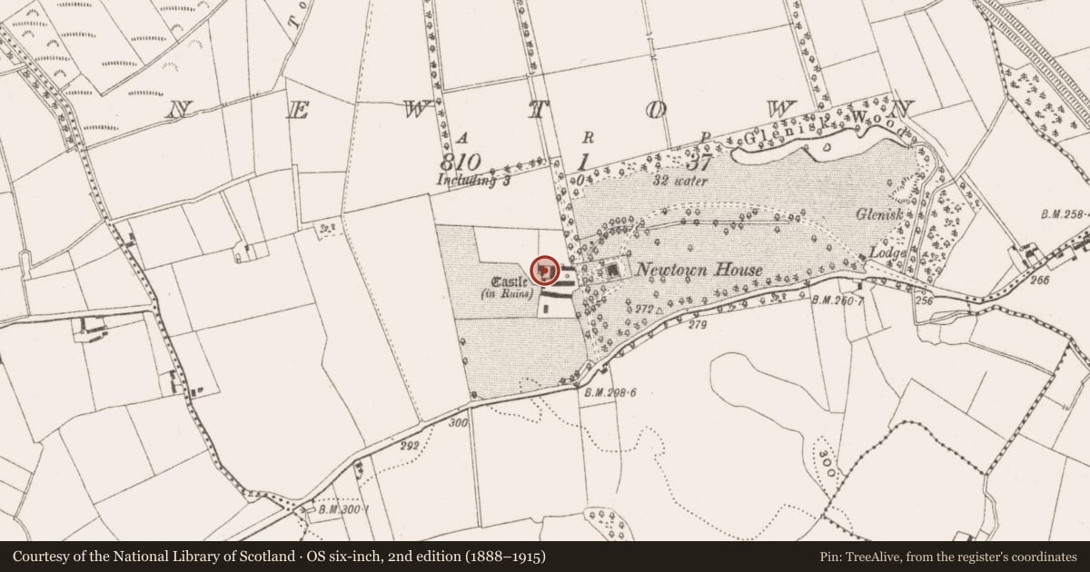 Ordnance Survey six-inch map, 2nd edition (1888–1915) covering the location of Castle - unclassified, Newtown, County Offaly, with a pin at the register's coordinates