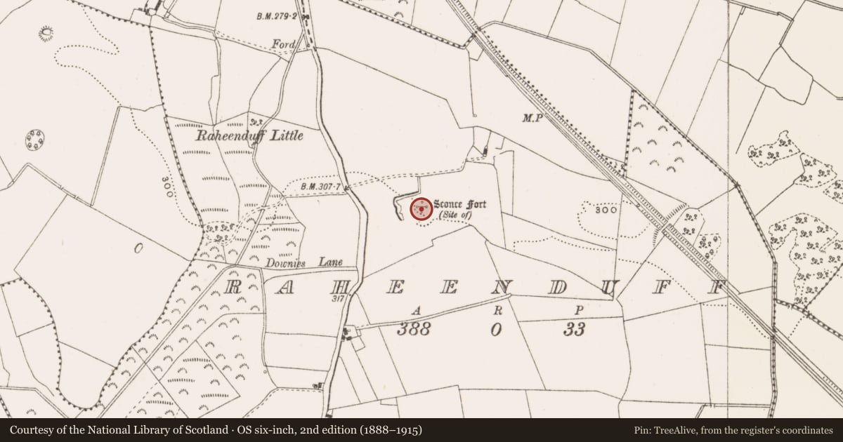 Ordnance Survey six-inch map, 2nd edition (1888–1915) covering the location of Moated site, Raheenduff, County Offaly, with a pin at the register's coordinates