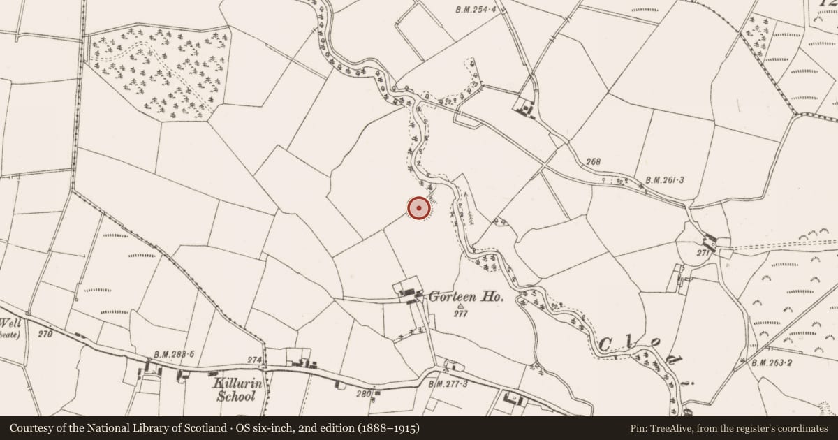 Ordnance Survey six-inch map, 2nd edition (1888–1915) covering the location of Enclosure, Gorteen, County Offaly, with a pin at the register's coordinates