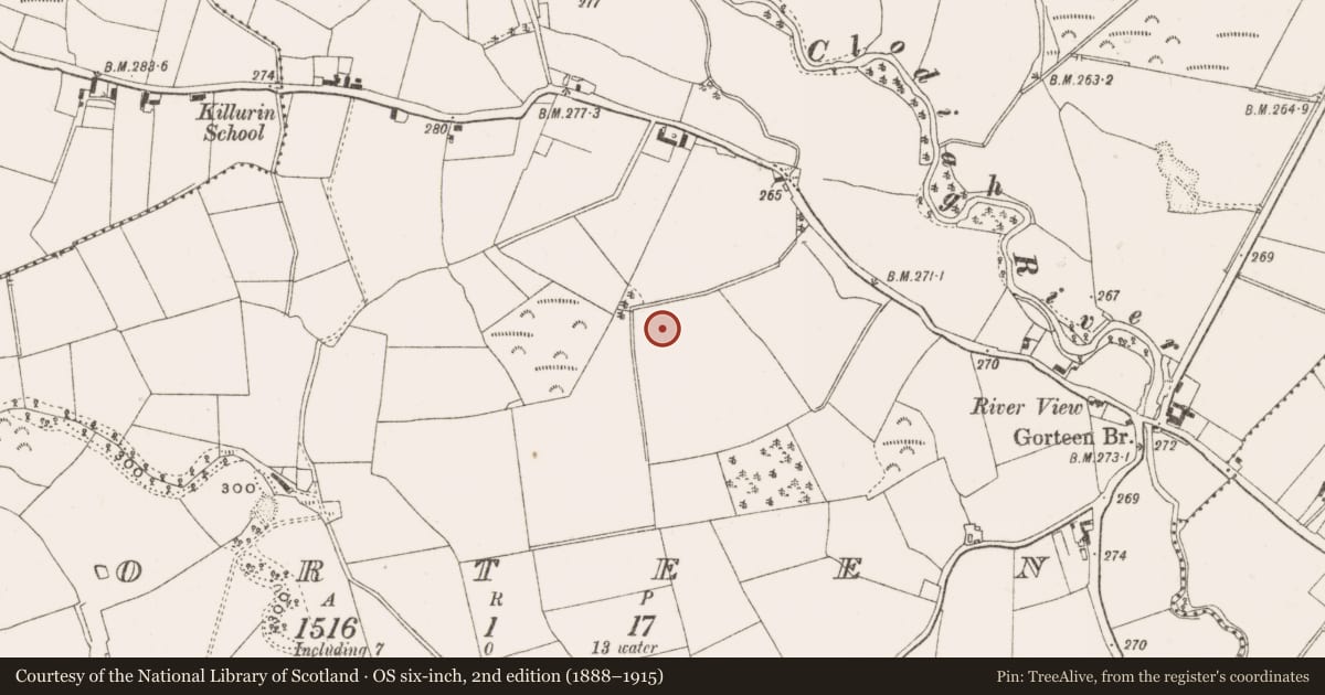Ordnance Survey six-inch map, 2nd edition (1888–1915) covering the location of Enclosure, Gorteen, County Offaly, with a pin at the register's coordinates